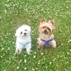 Meet your Posher, JJ